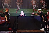 246.jpg
