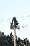 IMG_9738.JPG