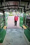 063.JPG
