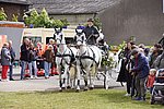 080.JPG