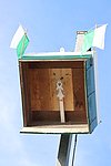 050.JPG