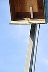054.JPG