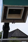 080.JPG