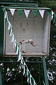 109.jpg