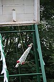 112.jpg