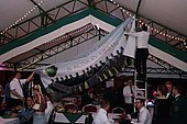 188.jpg
