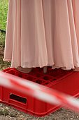 043.jpg
