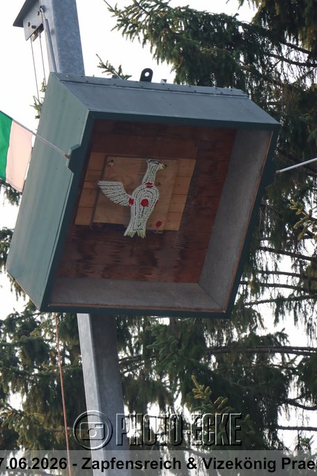 119.jpg