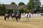 097.jpg