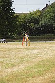 034.jpg