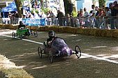 031.jpg