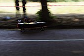 061.jpg