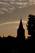 063.jpg