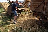 071.jpg