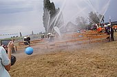 040.jpg
