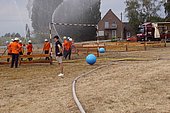 042.jpg