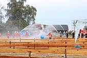 060.jpg