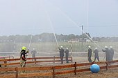 080.jpg