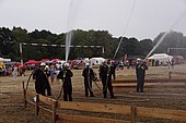 159.jpg