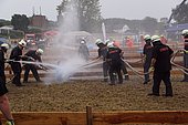 161.jpg