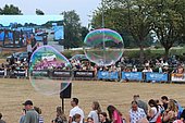 041.jpg