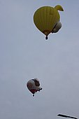 164.jpg