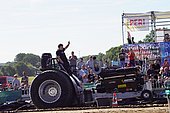 031.jpg